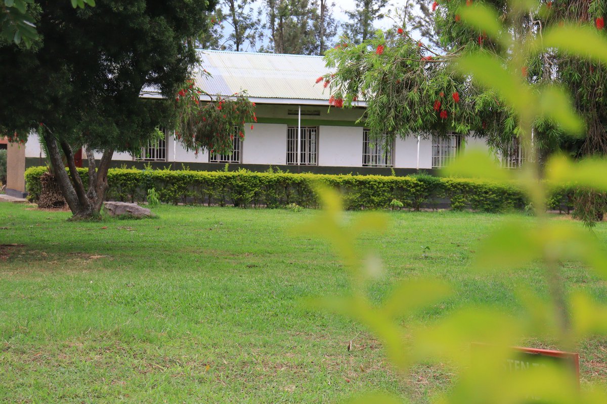 JEE RICK NEWS tweet media