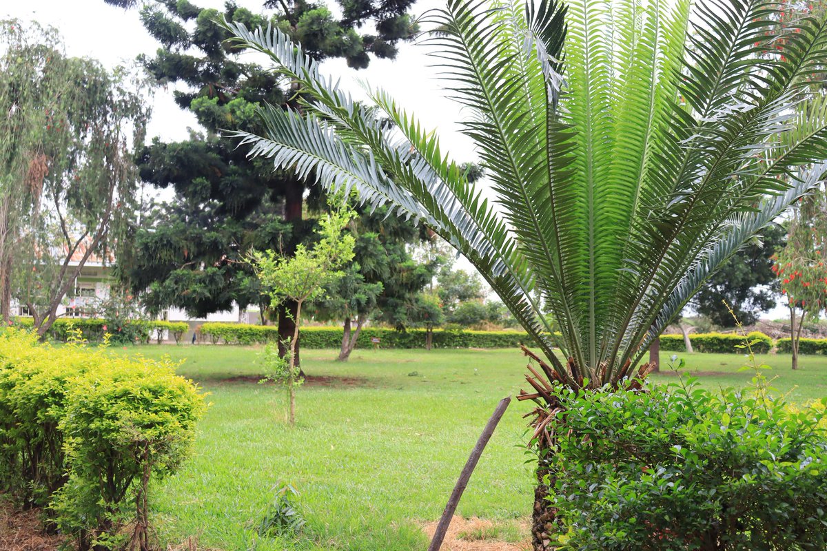 JEE RICK NEWS tweet media