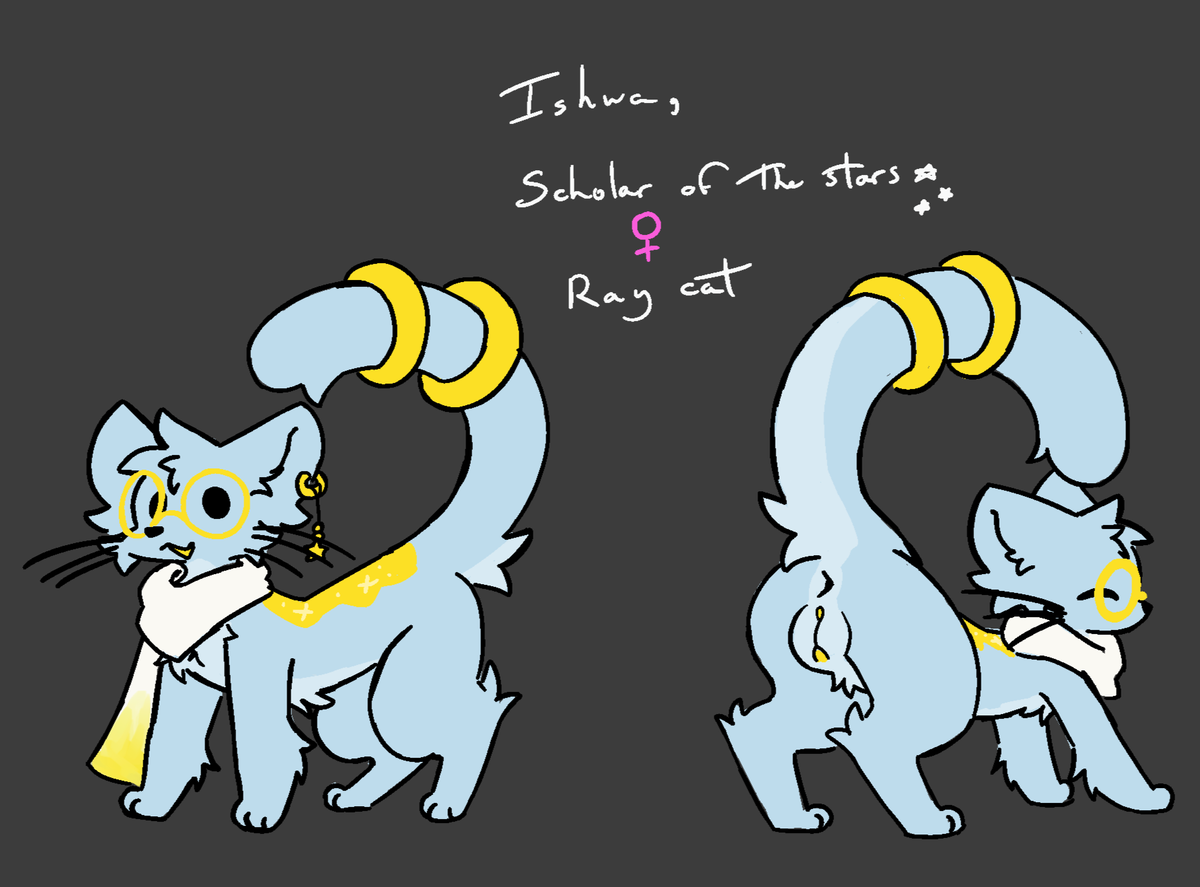 Potayo 18+ tweet media