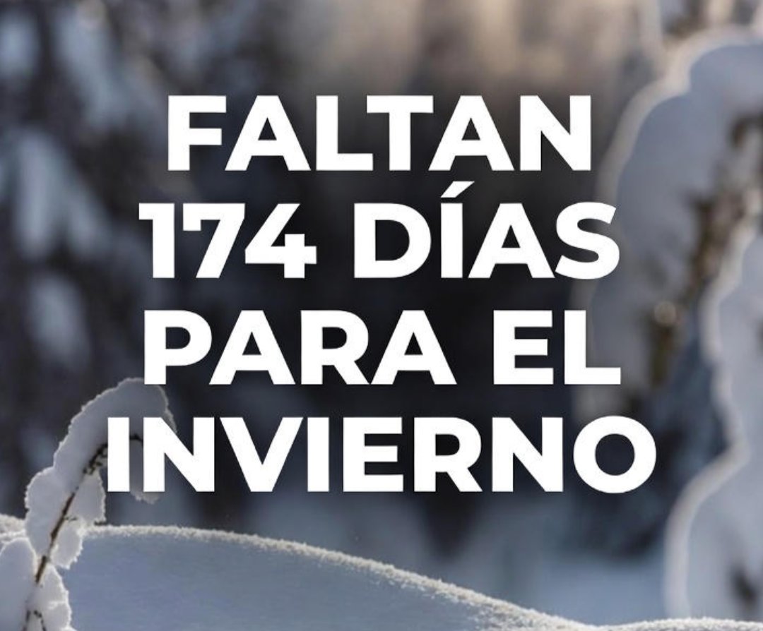 BastaPosta's tweet image. Vayamos a lo importante 👇