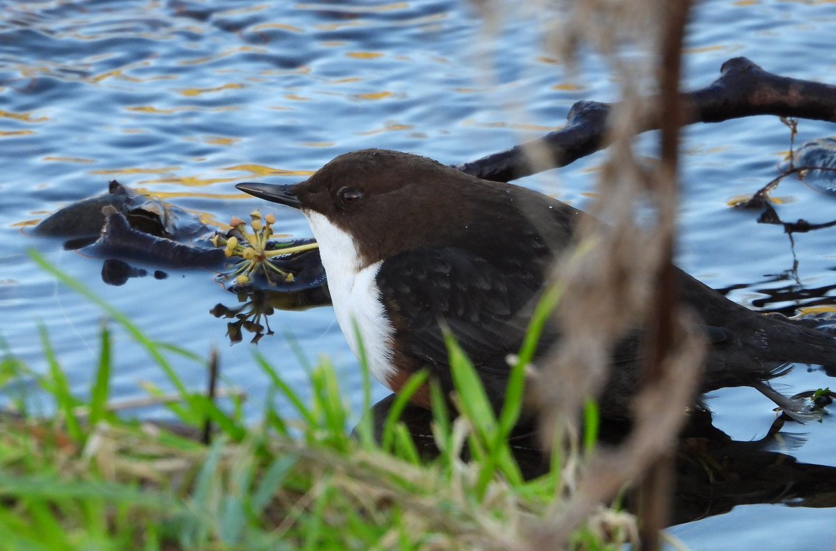 Bwarropics tweet media