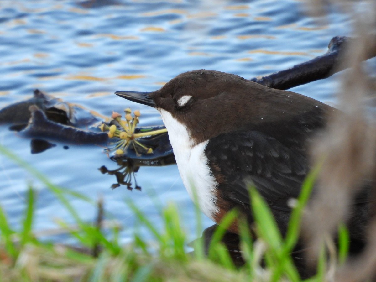 Bwarropics tweet media