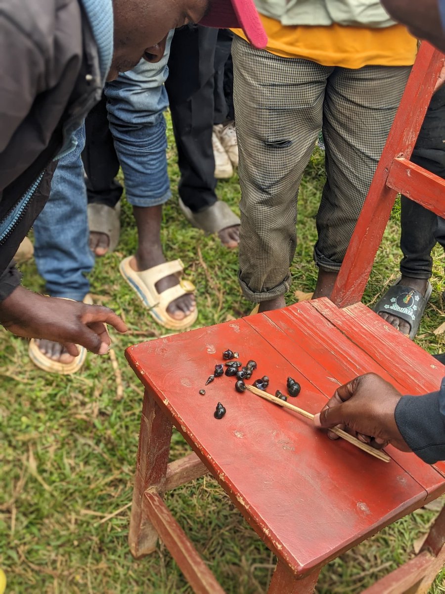 urphsa's tweet photo. Seeing is believing!
At Lake Ruhondo, we used physical demonstrations to show fishermen how freshwater snails🐌 act as vectors for Schistosomiasis.
By understanding how larvae move from snails to skin, fishermen are now equipped to break the cycle hence #EndNTDs
#URPHSAinAction https://t.co/mO1A75X0ag