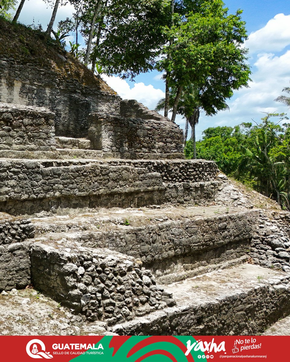 La maestría esculpida en piedra. 🏛️🌿

En Naranjo Sa’al, la grandeza está en el detalle. Admira la mampostería que integra historia y naturaleza en una experiencia única que nos recuerda el trabajo de miles de manos.

#NaranjoSaal #NoTeLoPierdas #YaxhaNakumNaranjo