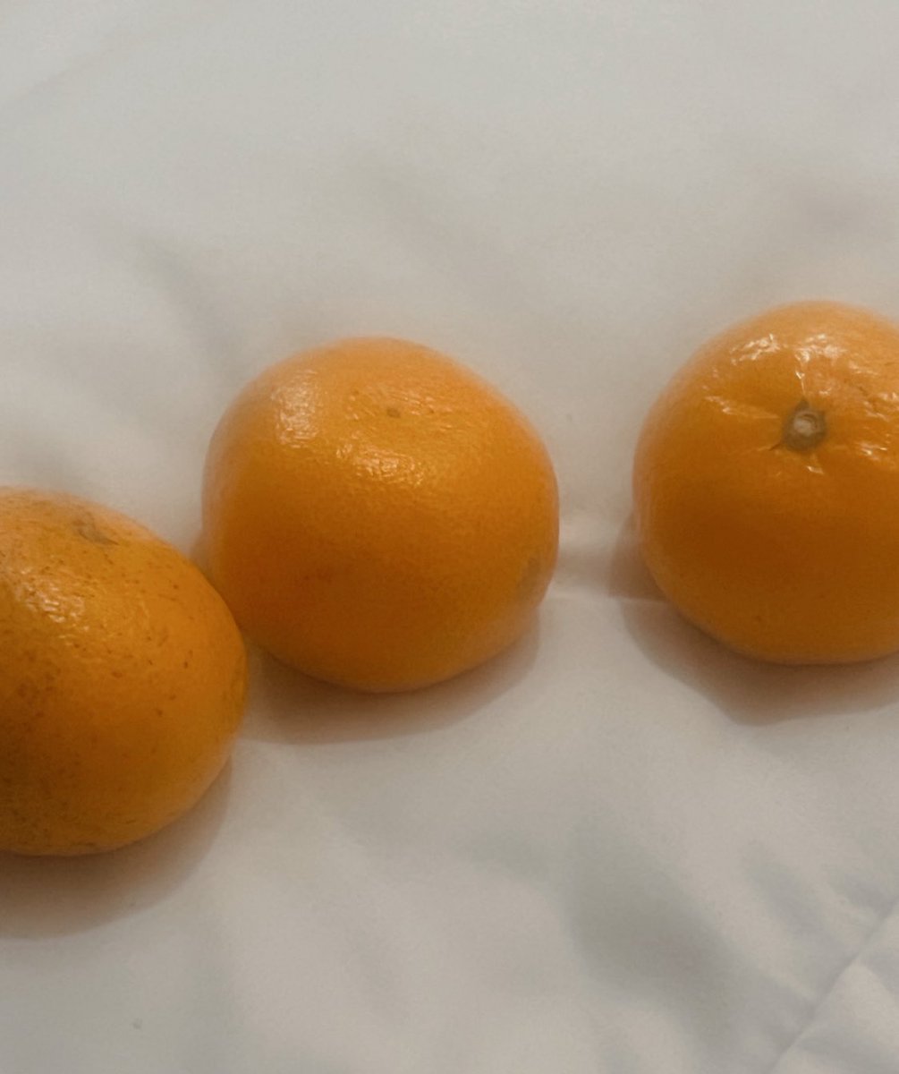 잠들기 전 간식 🥱
무려 엘리 선배님의 선물입니다 👊👊
달고. 시고. 아주 맛잇어요. 
울 꾸키들두 잘 자~💗
먀루는 이만 꿈나라로 뿅…
내일 클루즈 슈파바니맨 기대해조!!
보보~ 족!!