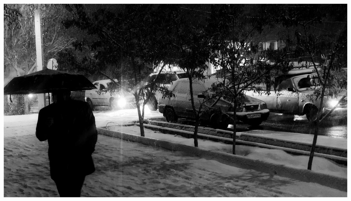 Deniz tweet media