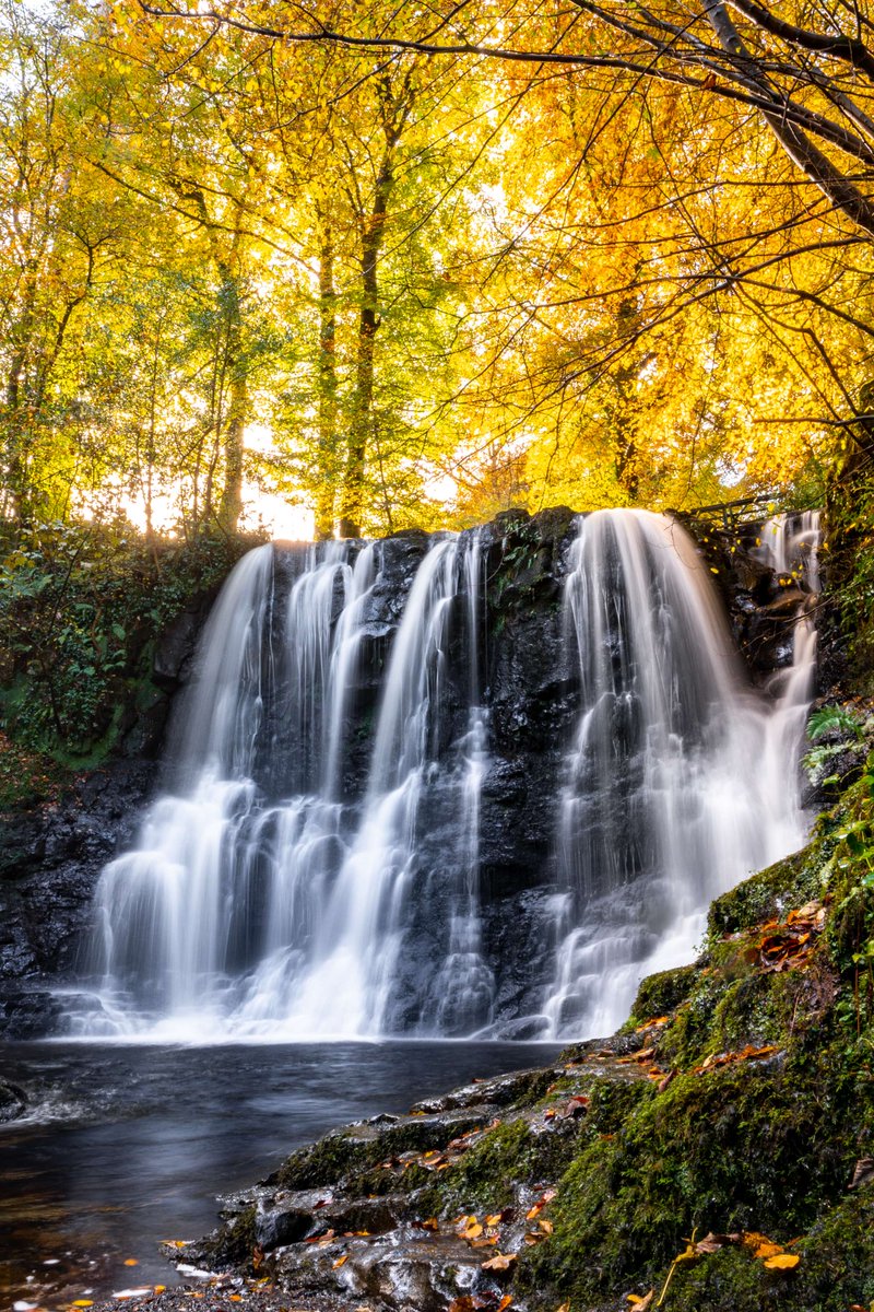 Discover Ireland tweet media