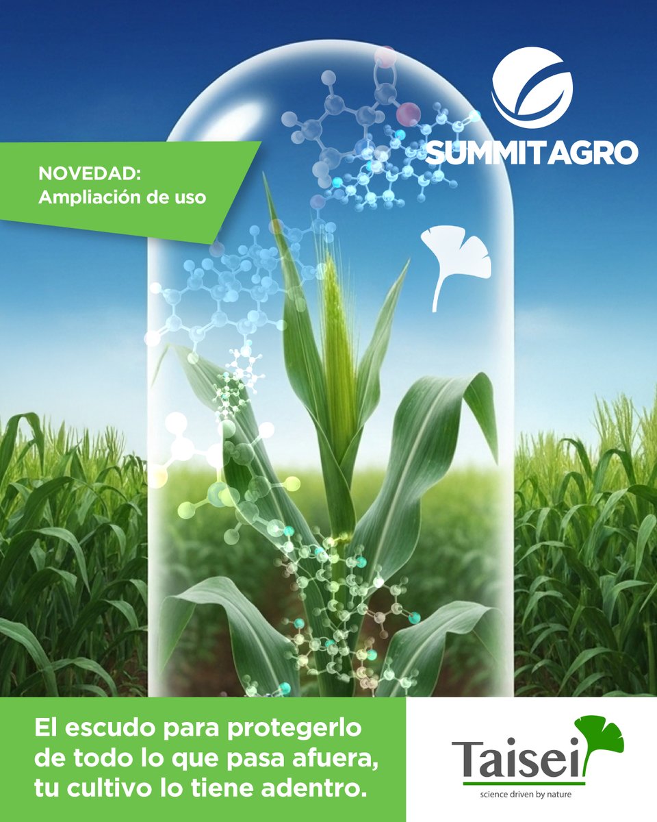 Summit Agro Argentina tweet media
