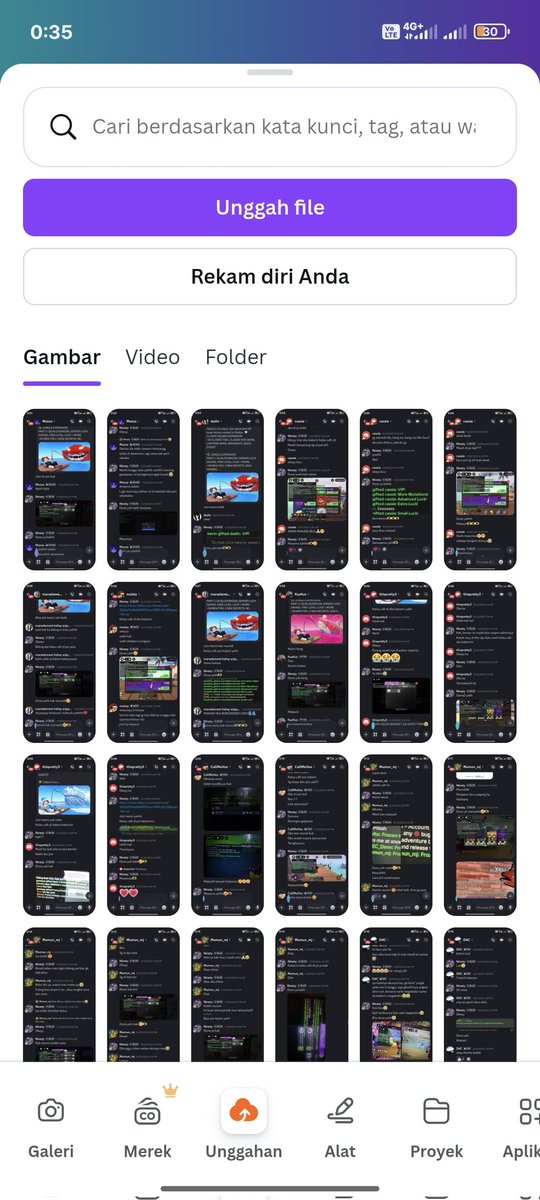 elzed tweet media