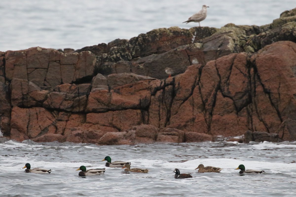 Neal Warnock tweet media