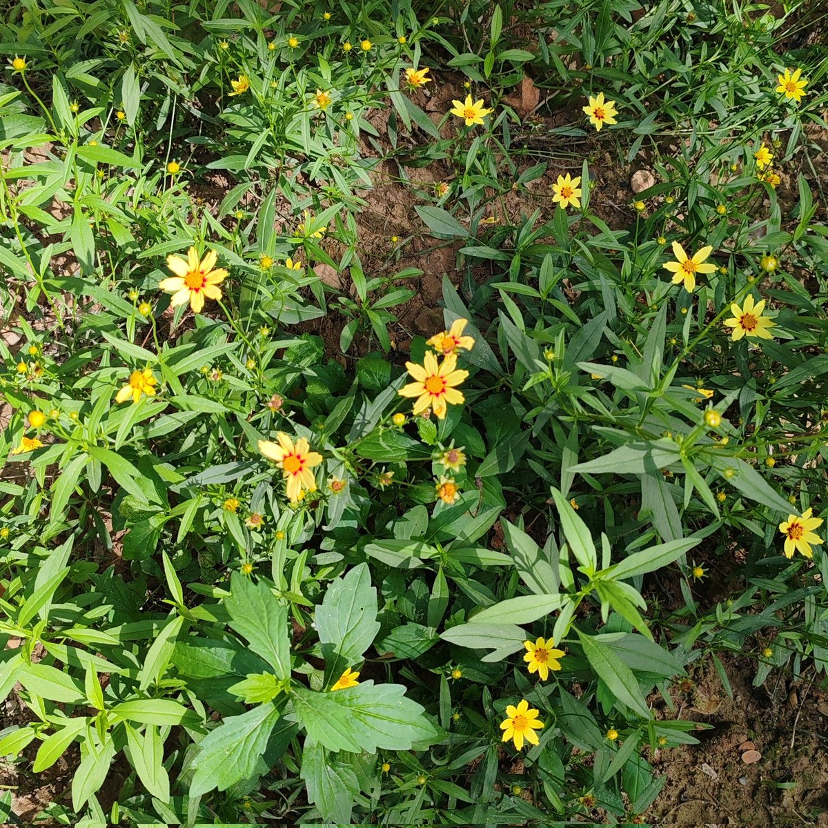 001mintmint's tweet image. another year in my life