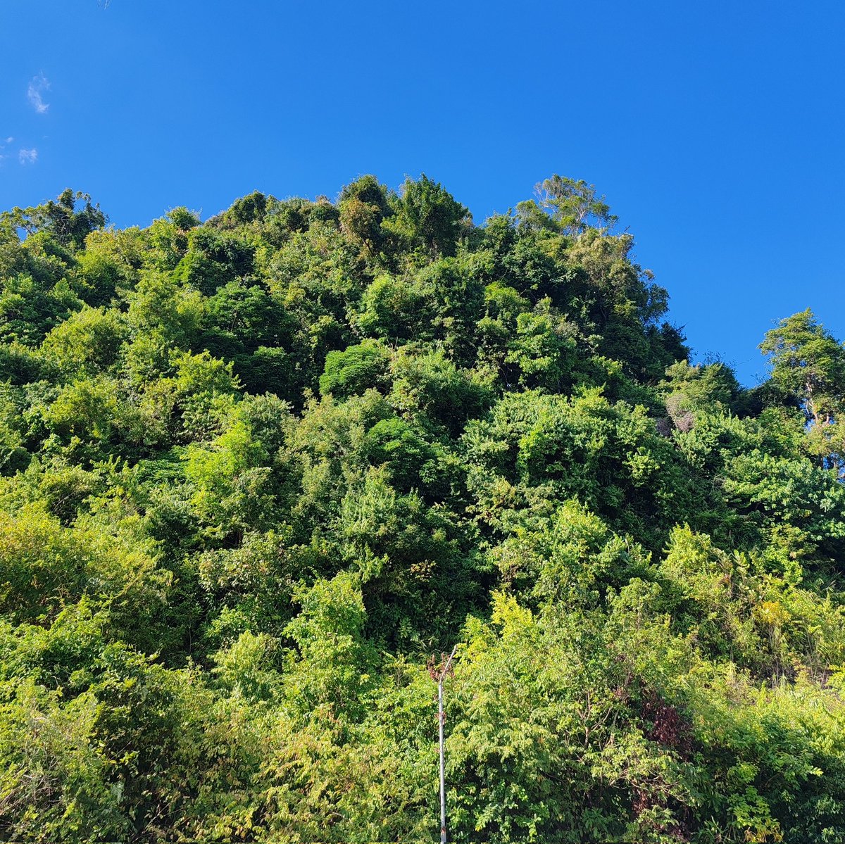 001mintmint's tweet image. another year in my life