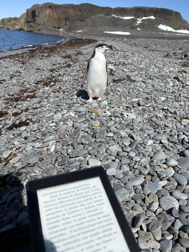 sofisall's tweet image. Leyendo bien acompañada 🐧🇦🇶