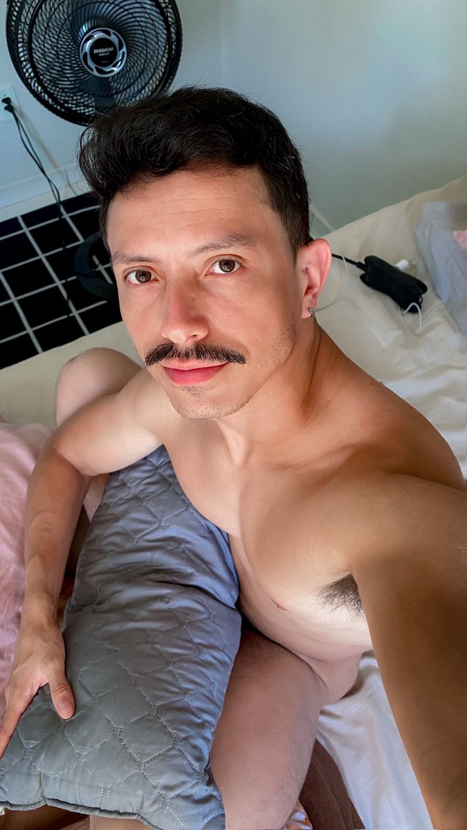 Lucas Tadeuh 👨🏻💻 tweet media