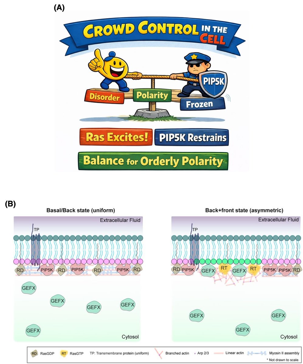 Vibha Singh tweet media
