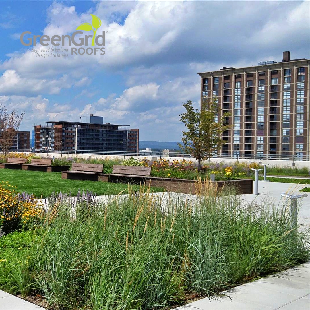 Greenroofs.com tweet media