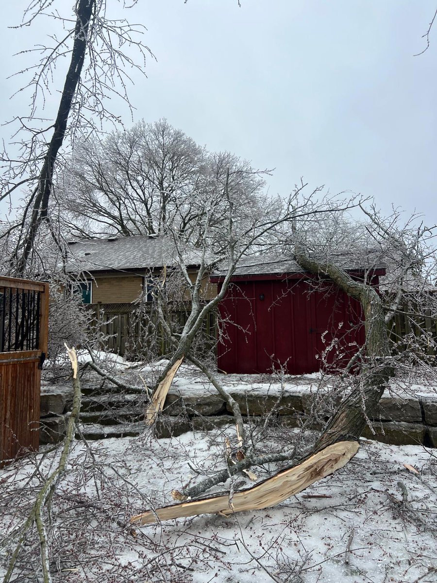 While <a href="/CLCTREESERVICES/">CLC TREE SERVICES</a> is officially closed, the weather bomb that has hit southwestern Ontario has us back out for #emergencytreeservices. If you have a tree down in #ldnont and surrounding area, call 519-685-0257. We offer #stormresponse for your trees, 24/7.