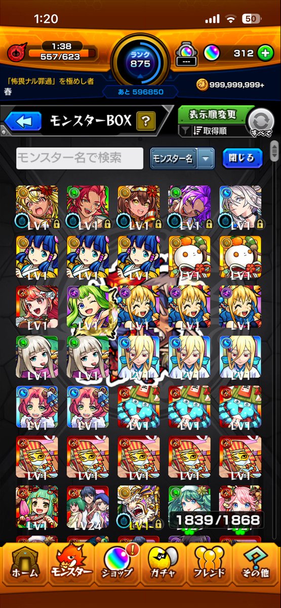 今年の後半はガーベラとスカドクサスしか追加されてなかったみたいだな