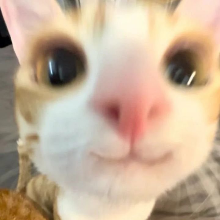 im quitting my job!!!!