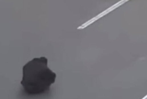 زندگی
یا یک ماجرای جسورانه است
یا هیچ نیست..