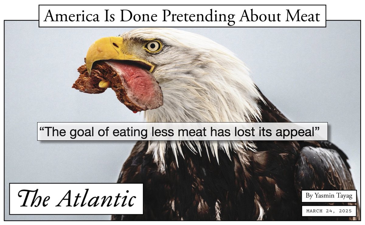 VegMediaWatch's tweet image. In an @TheAtlantic essay, staff writer @yeahyeahyasmin argues that the current protein craze coupled with the Trump-inspired fixation on masculinity have reduced consumer interest in #plantbased eating, but this observation belies what's happening in the culinary world. More and…