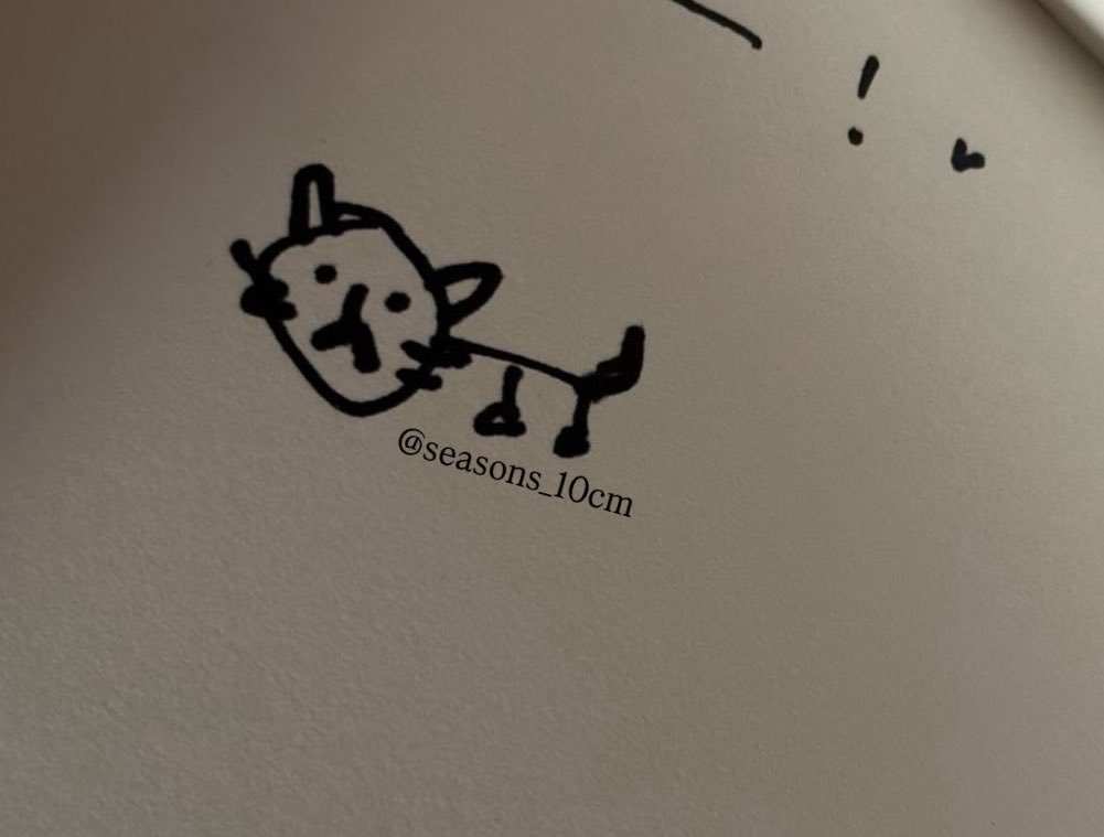 이건 제가 받앗던 고양이 그림인데요 . .
앞에서 너무 웃긴 했으요 응 . .
아니어케안웃냐고지금고양이가뼈만남앗는데