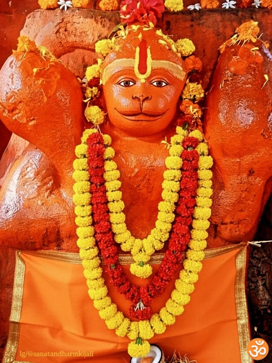 BhaktiVibes_'s tweet photo. सब सुख लहे तुम्हारी सरना तुम रक्षक काहू को डरना https://t.co/MtLToJKmv0