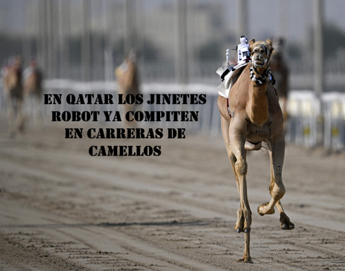 silentconv23245's tweet photo. En una pista de arena, en la ciudad de #AlShahaniya a 20 kilómetros de #Doha capital de #Qatar se llevó a cabo una singular carrera en el día de #Navidad Los camellos en competencia fueron cabalgados por pequeños jinetes #robot controlados a #controlremoto
https://t.co/sdkiH4wPv2 https://t.co/QsxfpIrY8v