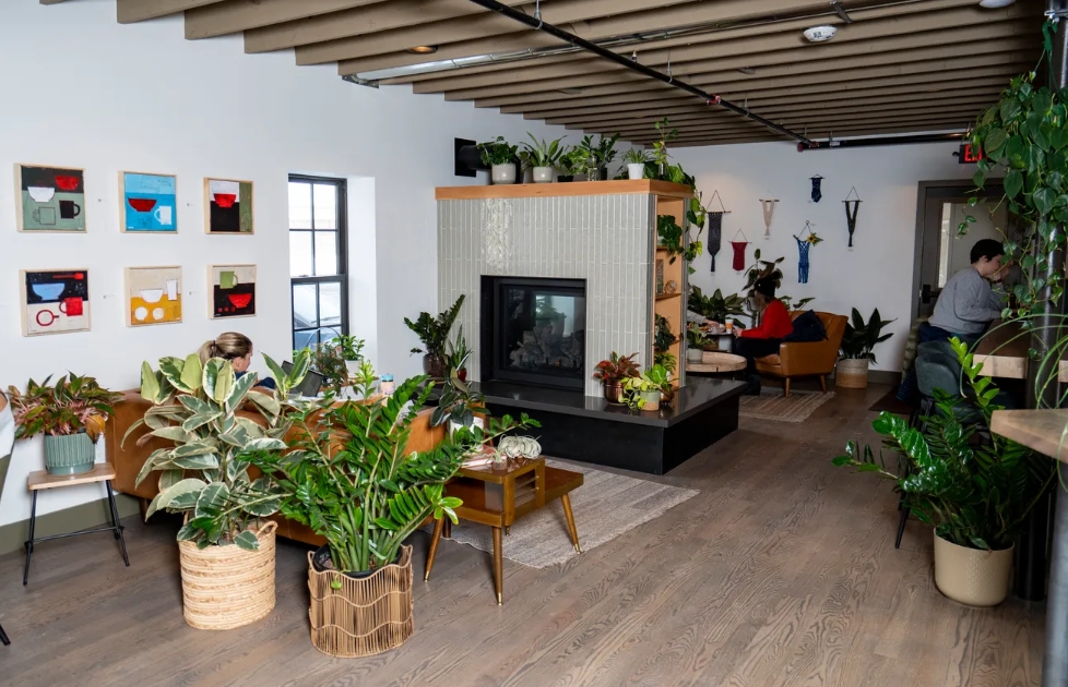 Bridget Fogarty tweet media