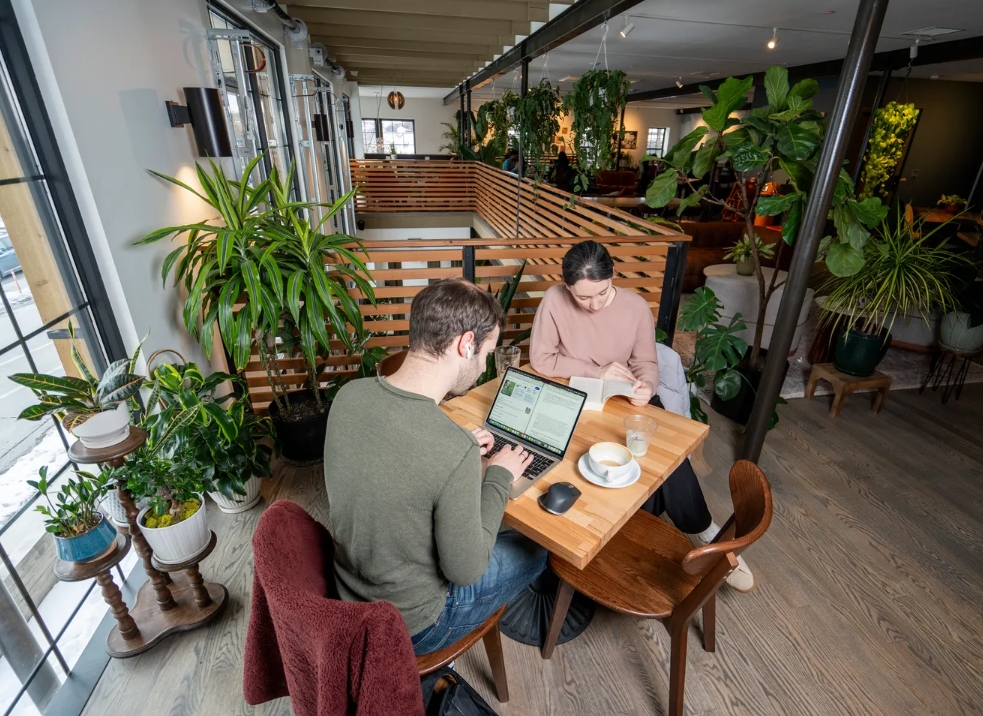 Bridget Fogarty tweet media