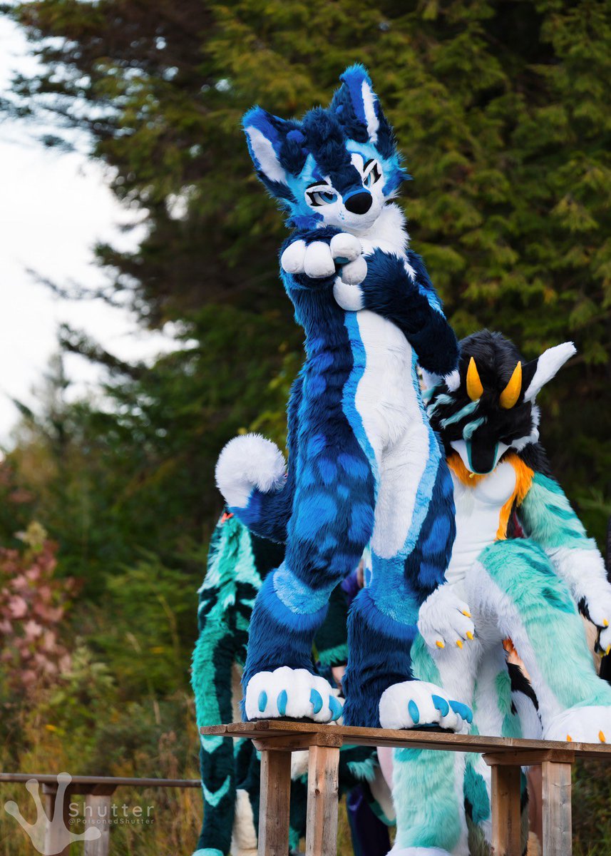 I choose you ….. what for though 

📸 <a href="/PoisonedShutter/">Shutter</a>