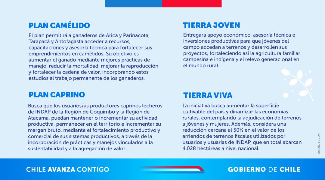 Avanzamos con mayor apoyo para la agricultura familiar campesina e indígena 👩‍🌾👨‍🌾

Desde <a href="/INDAP_Chile/">INDAP_Chile</a> desarrollamos nuevas iniciativas enfocadas en generar más oportunidades, mejorar la comercialización y el acceso a asesoría técnica. 

🔍Conoce e infórmate en