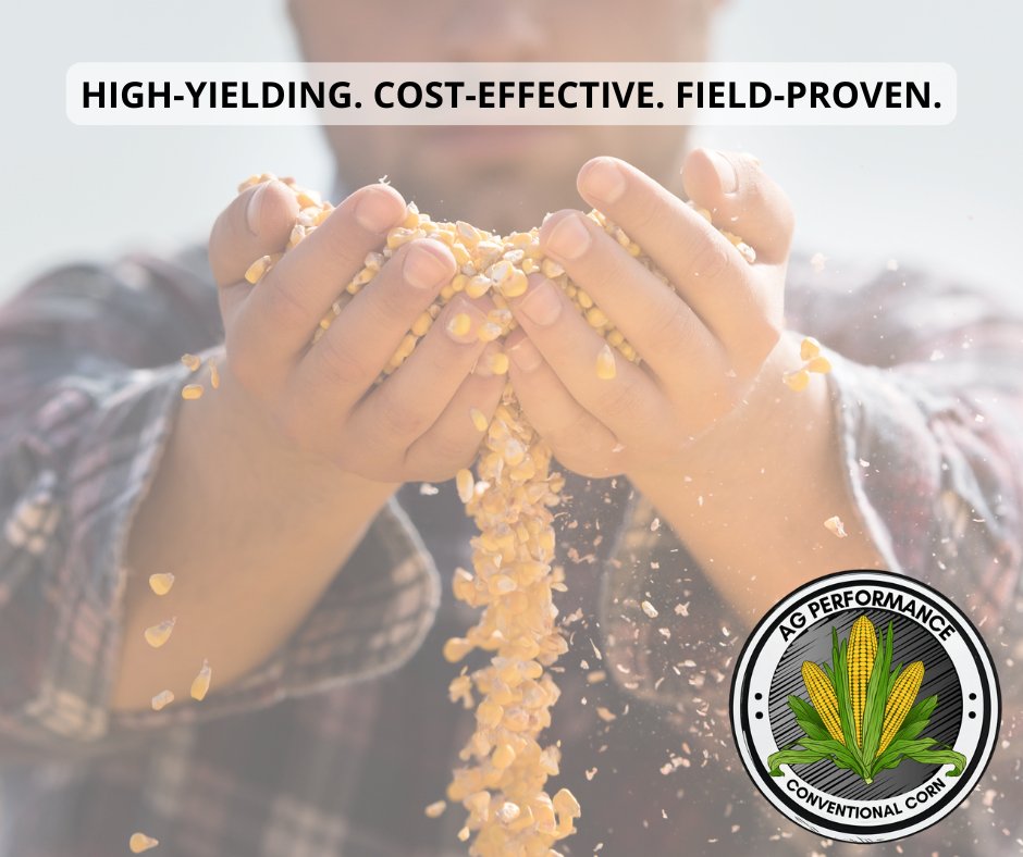 AgPerformanceBC's tweet image. High-yielding, cost-effective conventional corn built for strong performance. 🌽
Want to see the numbers? Check out our website for the latest data.

📞 Call 641-562-2370 |
 🔗 agperformance.com/conventional-c… 
#AgPerformance #YieldProtection #ConventionalCorn #FarmStrong