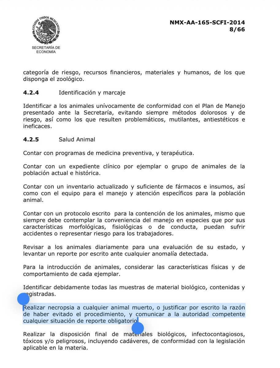 Shalma Castillo tweet media
