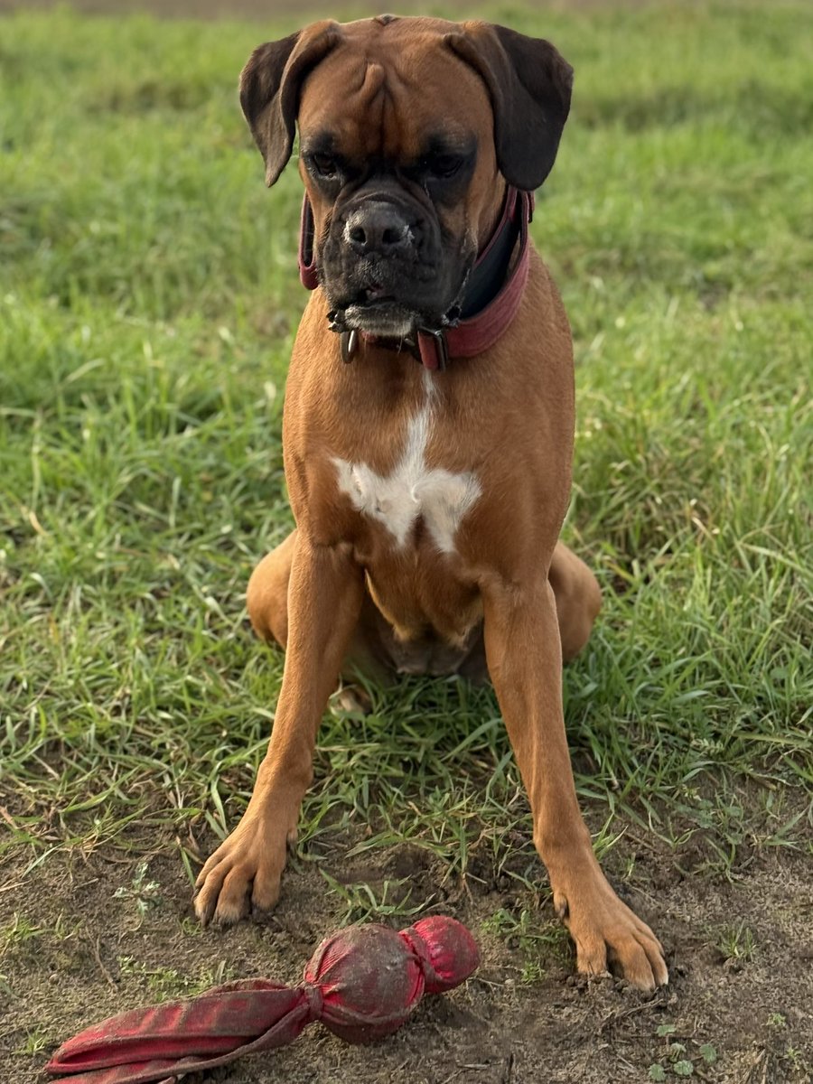 Doris ❤️❤️❤️