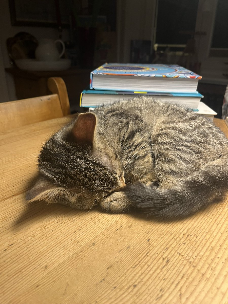 PrienKarin's tweet image. Viel gelesen und gegessen. Total zufrieden.