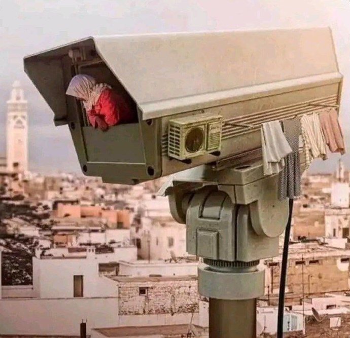 weehmzeee's tweet photo. When I come home with a new girl
My neighbours: https://t.co/zOi7Dfw4Gj