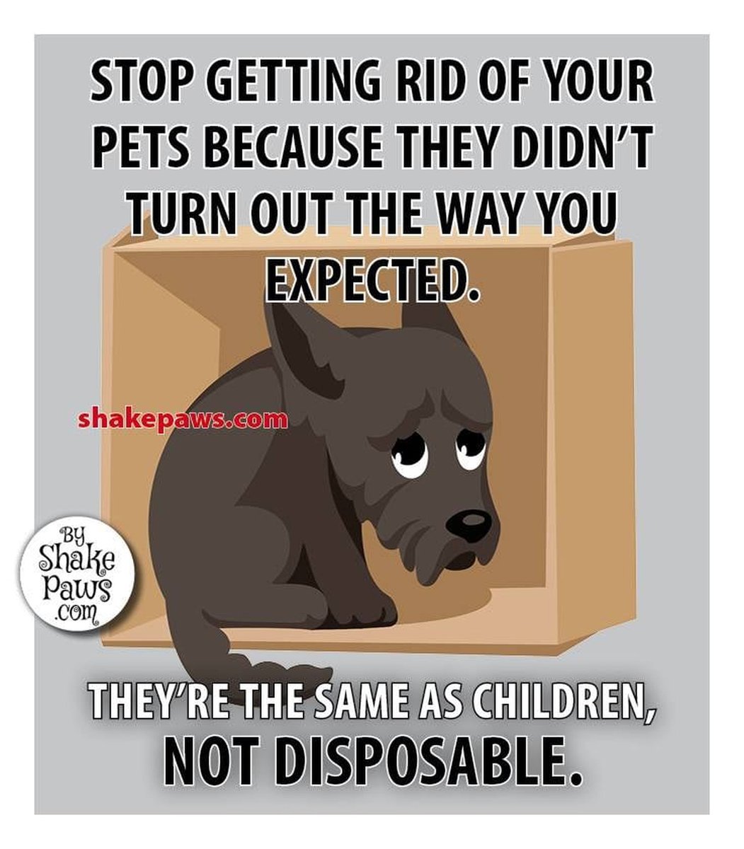 The Four Hearts (@t4hrts) on Twitter photo 