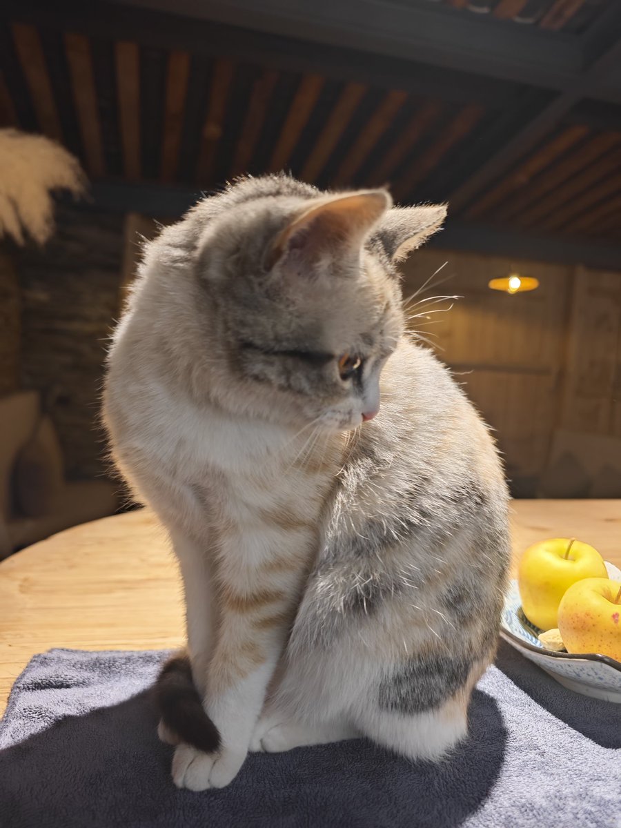 獾郎单推（Jeff） tweet media