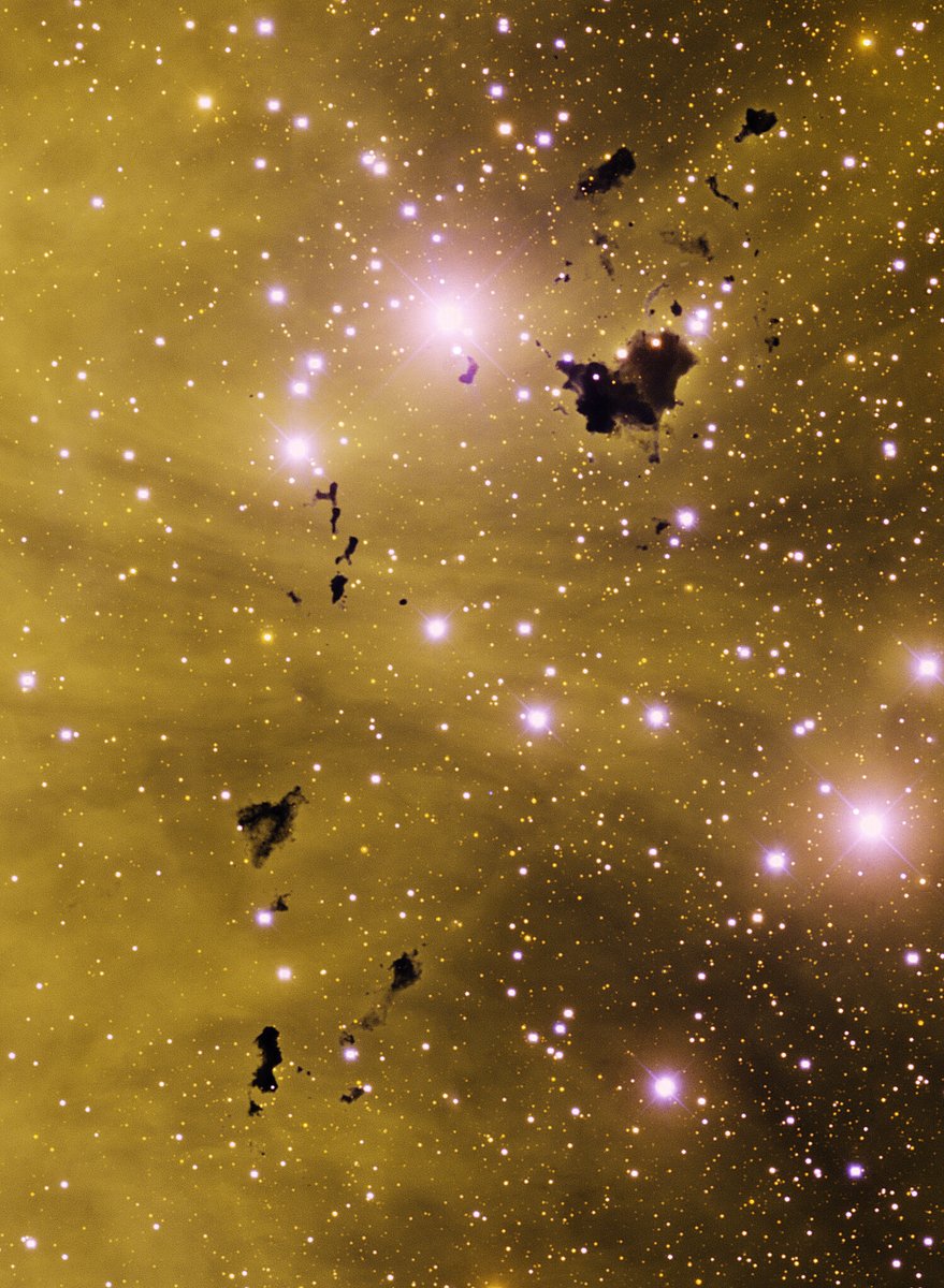 The dark spots over IC 2944 are Bok globules. These are isolated clouds of gas that are so cold (about –263° C or –442° F) and dense that they obscure visible light!

This image was taken w/ the Blanco 4-m 🔭at @CerroTololo

📸:NOIRLab/NSF/AURA/T.A. Rector &amp; N.S. van der Bliek