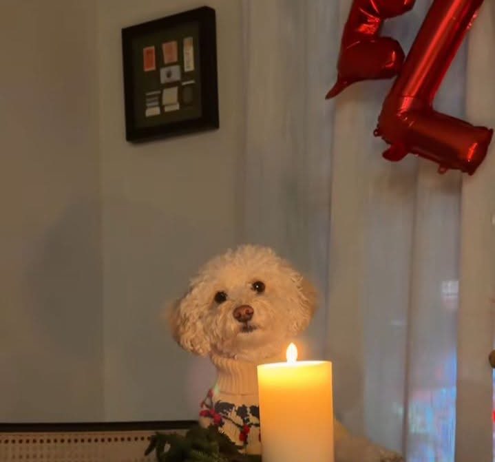 DiloConPerritos's tweet image. Espero que tu mamá biológica sepa que me dio el regalo más lindo del mundo ❤️‍🩹✨