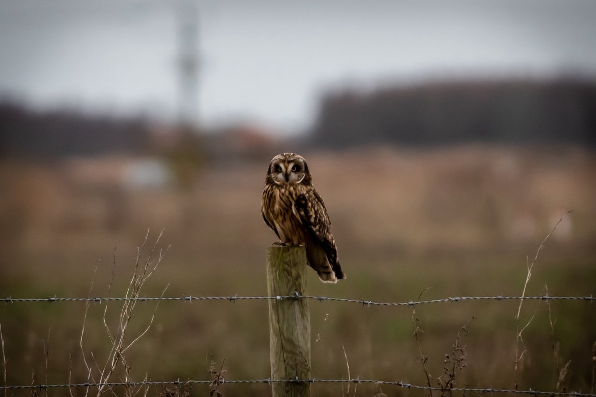 Kain🌿 tweet media