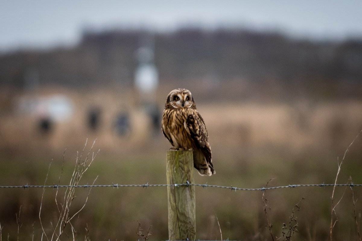 Kain🌿 tweet media