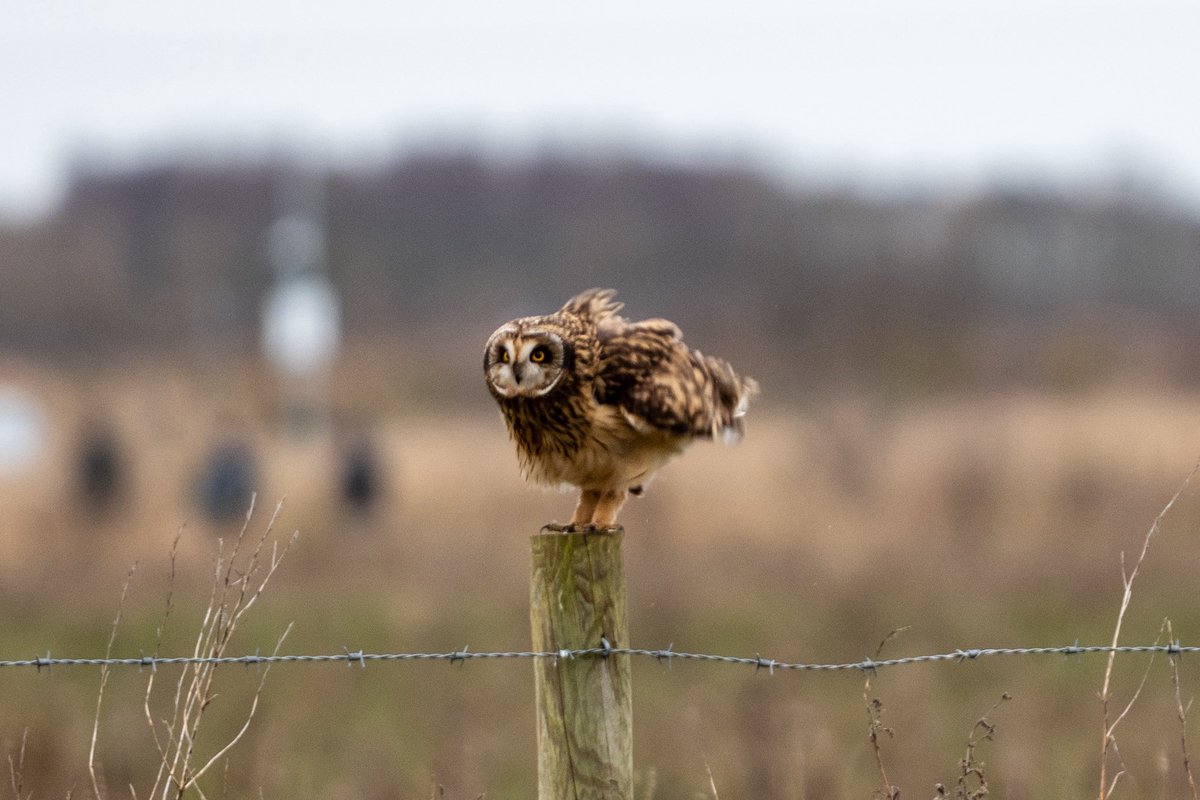 Kain🌿 tweet media