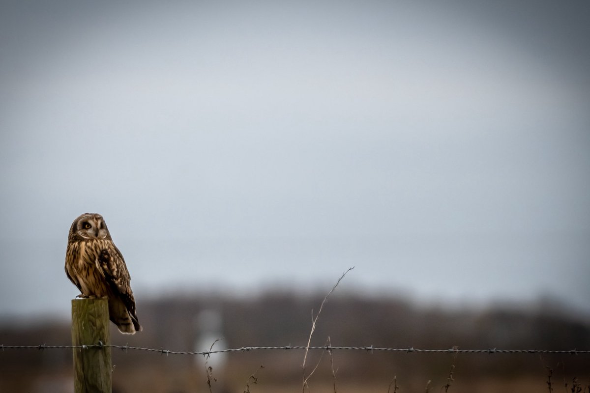 Kain🌿 tweet media