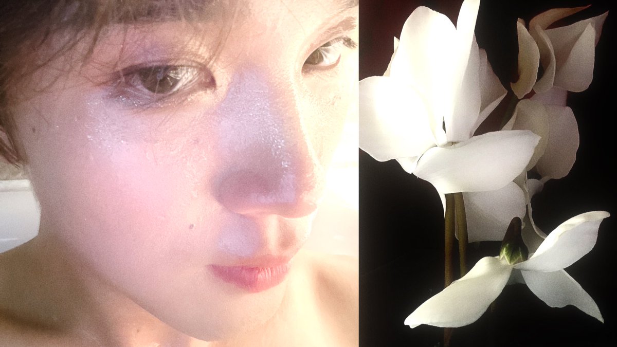 yuwoal's tweet image. ❦