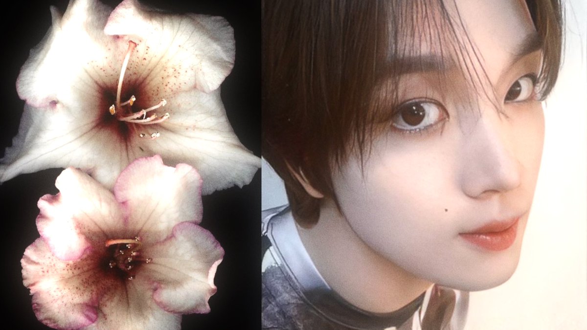 yuwoal's tweet image. ❦