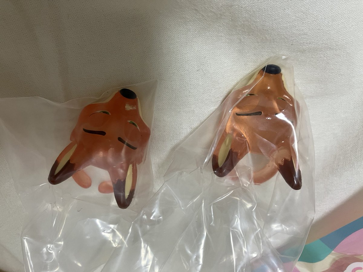 ちわわくん🐶♡ tweet media