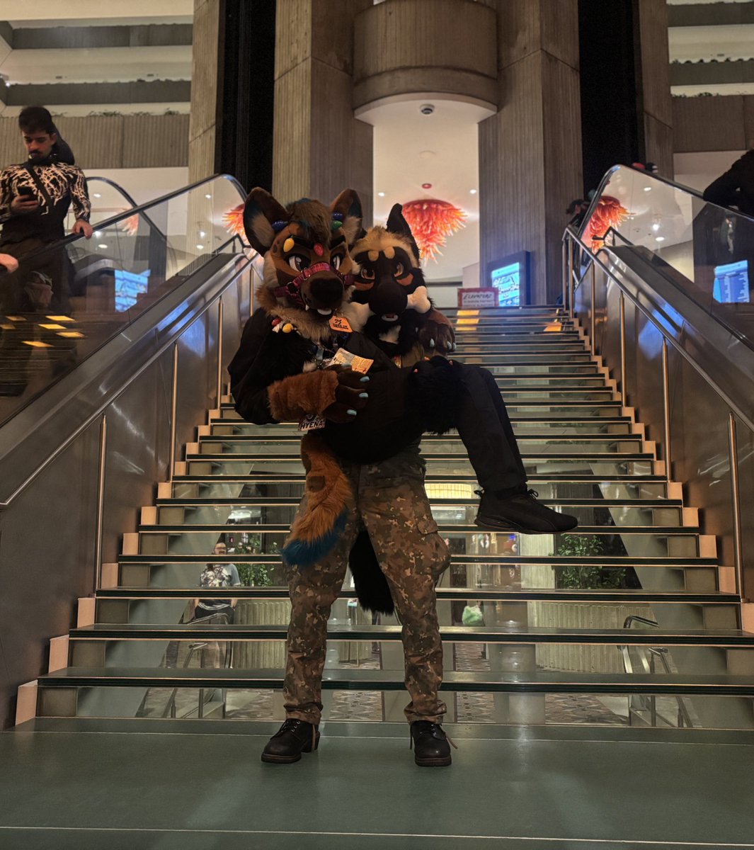 I absolutely LOVE receiving hugs and getting upsies from people 
#MFF2025 <a href="/MaximMalinois/">Maxim Malinois</a>