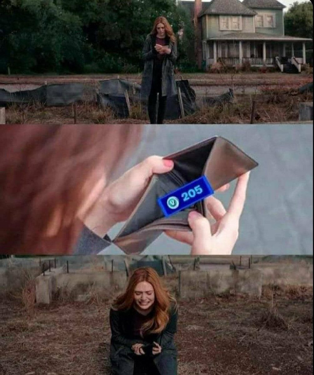 PedroEliasFN's tweet image. 